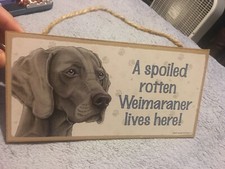 A Spoiled Rotten Weimaraner lives here Cute Dog Sign 5"x10" NEW wood Plaque