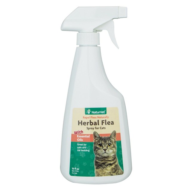 whisker city at ease