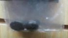 GENUINE Kilkenny Black Marble Cabochons 14x10mm Guaranteed Irish