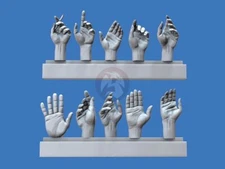 Royal Model 1/16 120mm Assorted Hands #5 (5 Left & 5 Right, different poses) 967