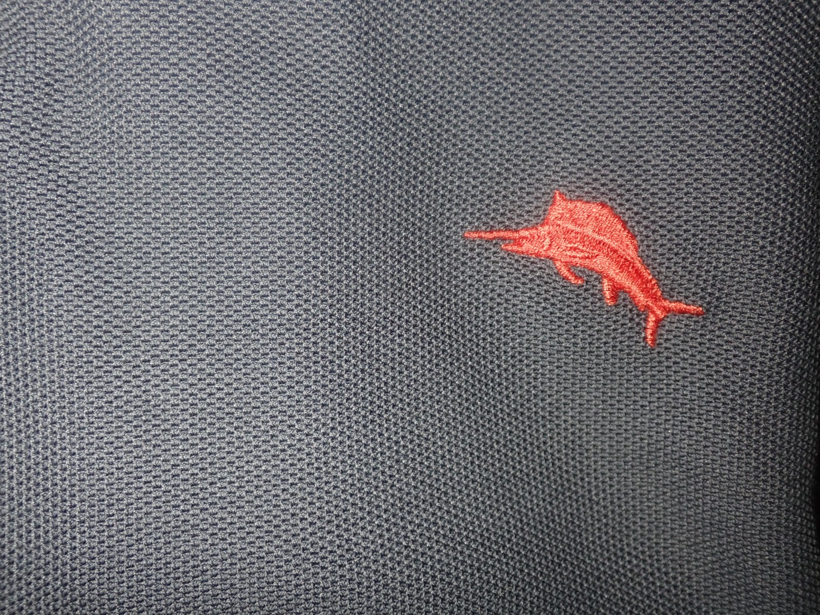 Picture 6 of 6