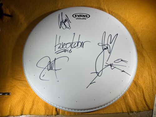 T5-97 BLU OCTOBER BAND - DRUM HEAD (BIANCO) - AUTOGRAFATO X4 - 2016 - WOW! - Foto 2 di 12