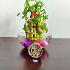 Stampa In Legno Fatta A Mano Vintage Di Lord Shiva OM Con Blocchi Di Tessuto 566