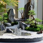 Picture 3 of 12
