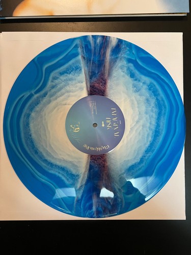 NEW MAGDALENA BAY Imaginal Disk Vinyl LP Blood Records Limited /4000 SHIPS FREE - Foto 3 di 5