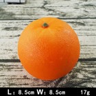 Foto 5 di 11