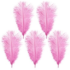 Large Ostrich Feathers Christmas Party Ornament Costume Craft Long Plume 35-60cm