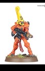Warhamme 40k Eldar Fire Dragon Mini Of The Month
