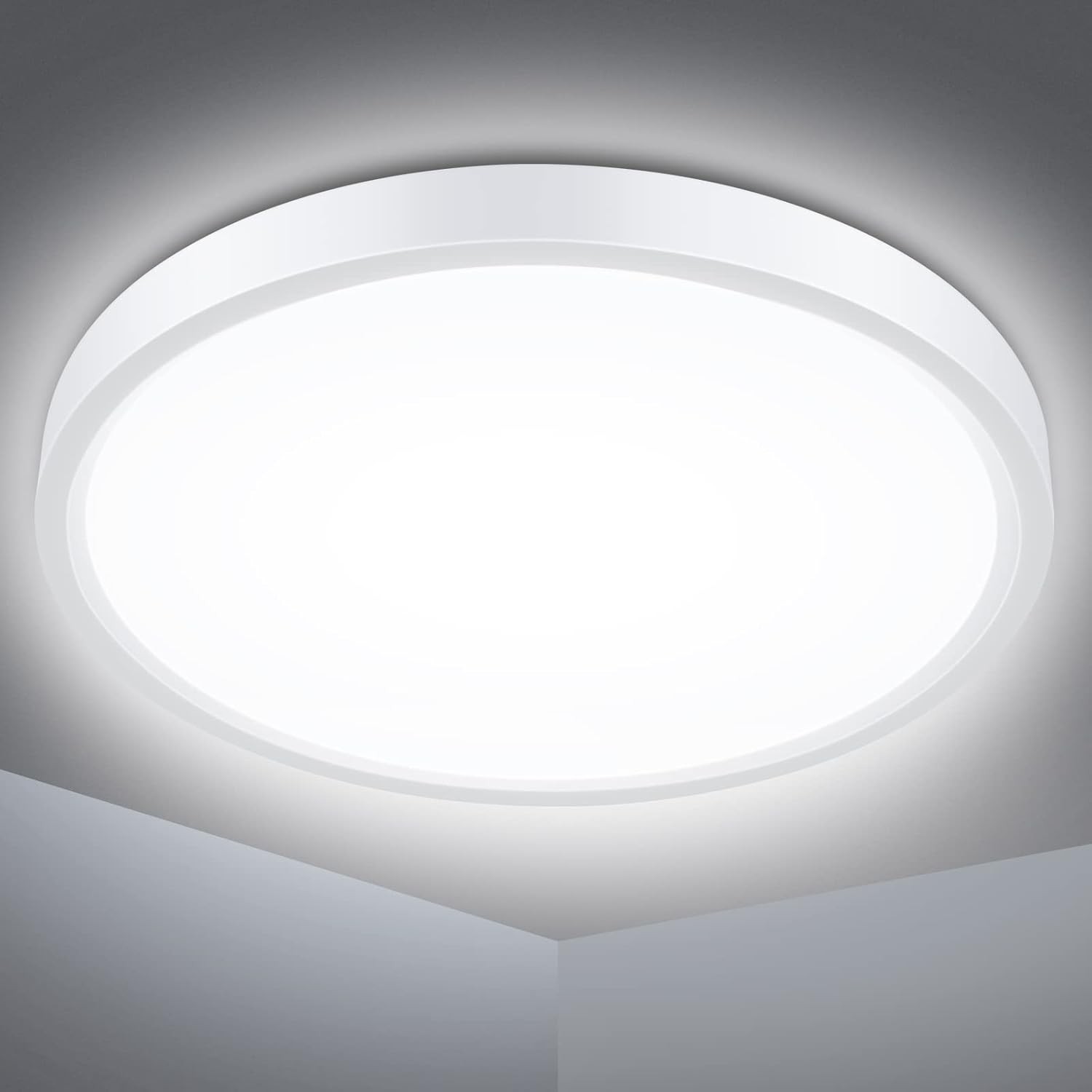 Defurhome Bathroom Ceiling Light Ø22CM 18W 1500LM,100W Equivalent,5000K Daylig