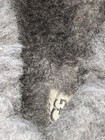 Bild 3 von 17