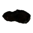 UTAH DINOSAUR BONE ~32 grams/ rough agate jasper cab fossil — photo 4