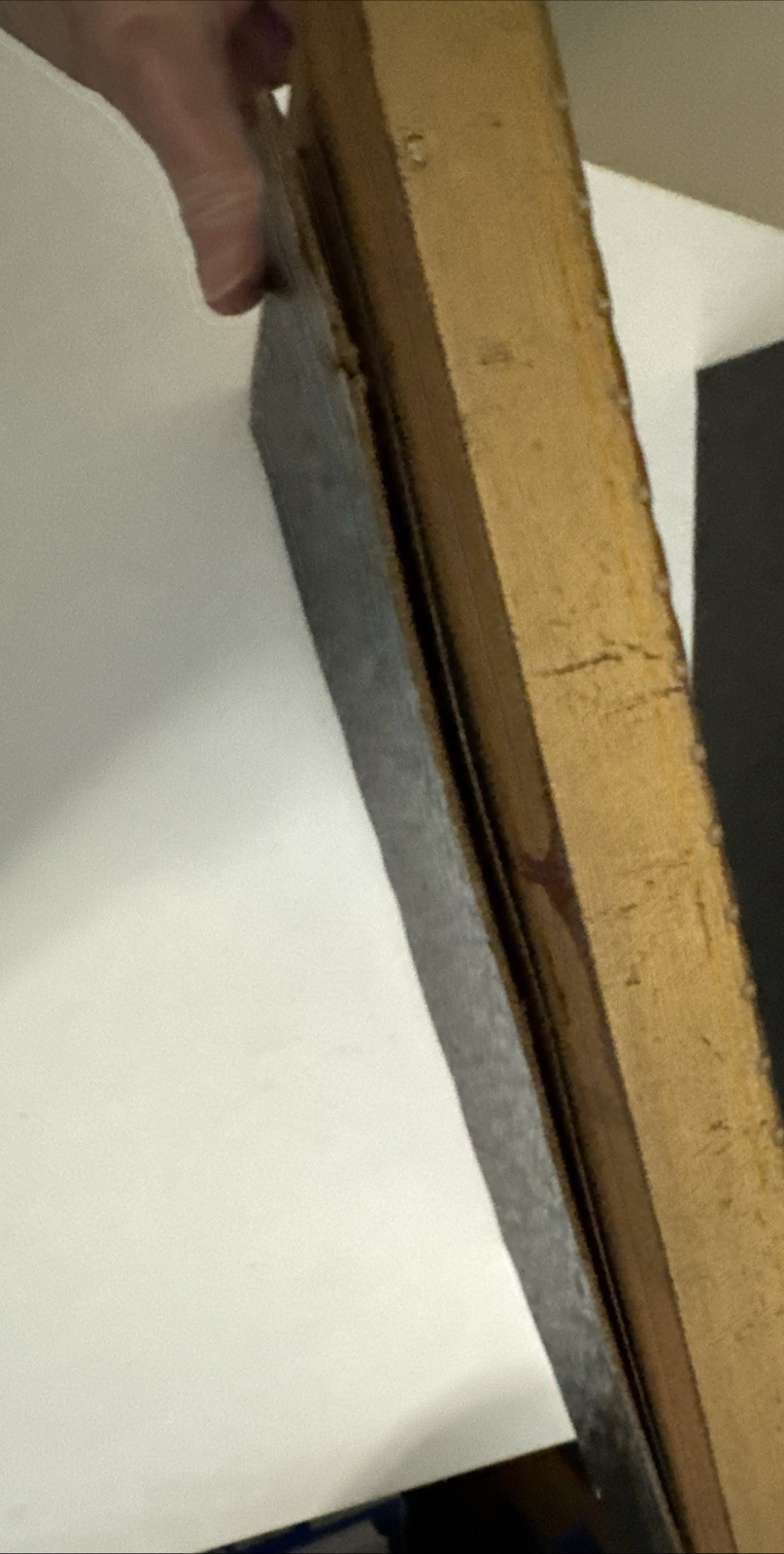 Picture 16 of 16