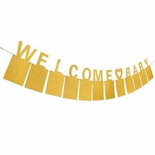 Welcome Baby Photo Banner 1-12 Month Gold or pink or blue Glitter