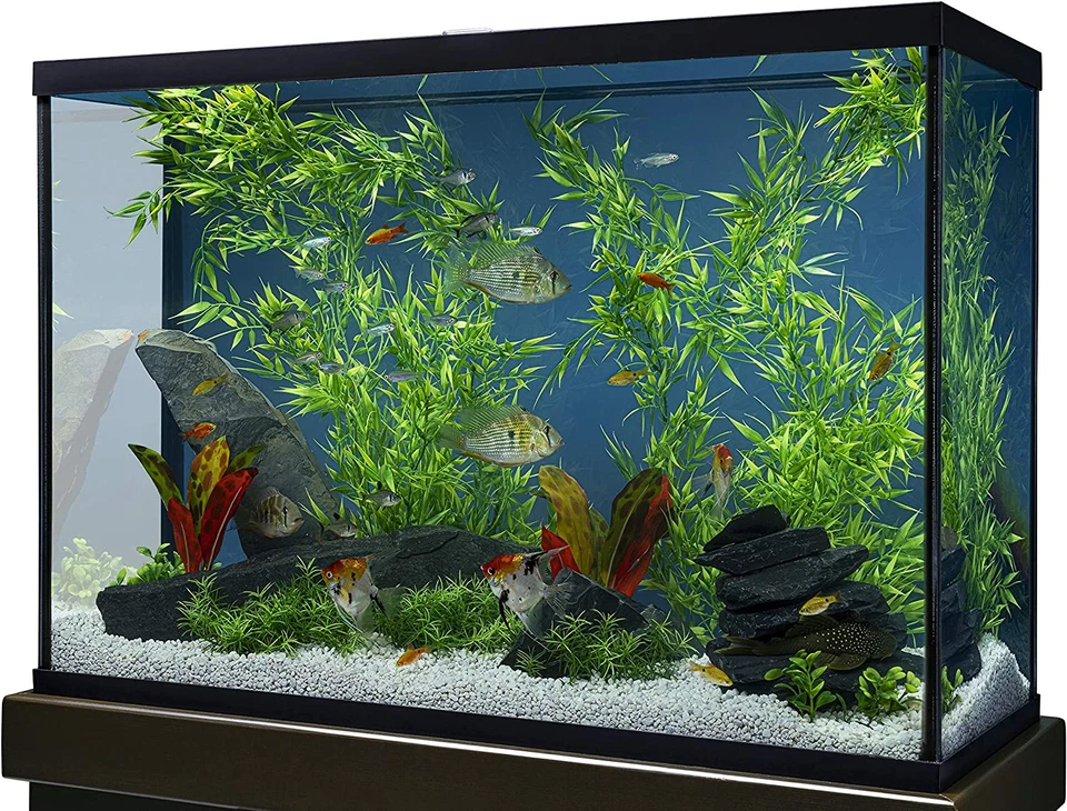 Bambú 3 Pies, Decoración para Acuarios y Terrarios, Modelo:47431905481 Foto 4 de 4