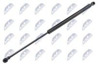 Nty Heckklappen DäMpfer Gasfeder Kofferraum AE-RE-029 FüR Renault Clio 4 Tce Lpg