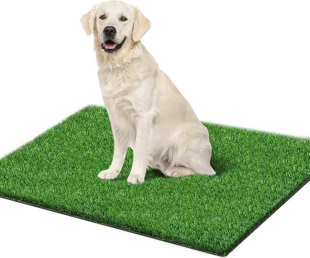 Tappeto Erba Artificiale Decorativo 50x60cm - Angolo Green per Animali