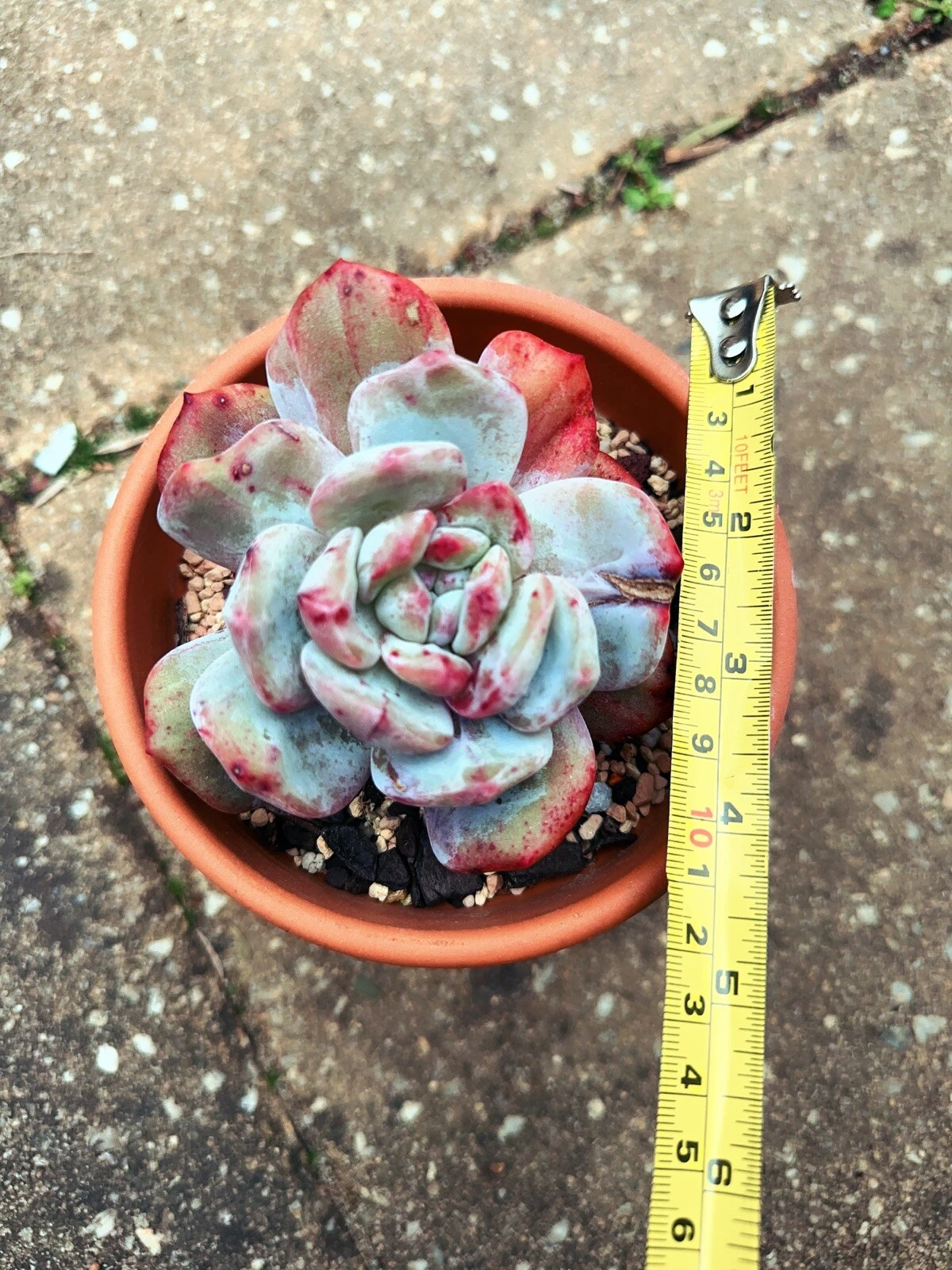Picture 2 of 5