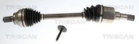 Triscan Dichtungssatz, Zylinderkopf 598-5578 FüR CitroËN Peugeot