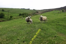 Photo 12x8 The path to Blue Hills Upper Hulme The farm in silhouette on th c2016