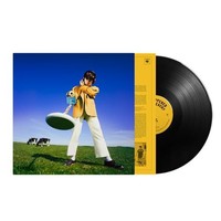 Declan Mckenna - What Happened TO THE Beach - Vinyl Record - K2Z