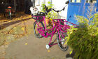 Bild 5 von 12