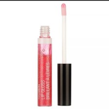 2 Pack Wet n Wild MegaSlicks Lip Gloss, Crushed Grapes 546C, 0.19 oz