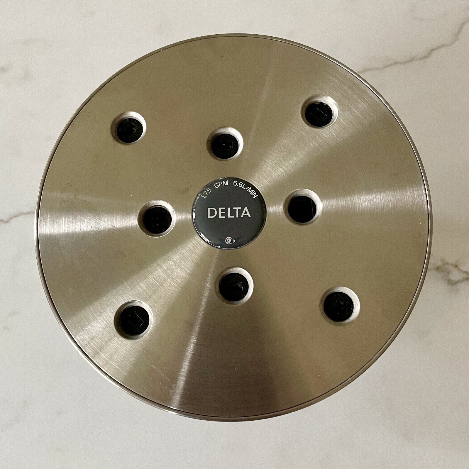 Delta Trinsic Shower Head