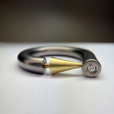 Ring   Titanium & Gelbgold 585 (0,2) & Diamant. Große: 49 (3.72g)