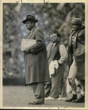 Press Photo Bear Wolf, Football - nos33647
