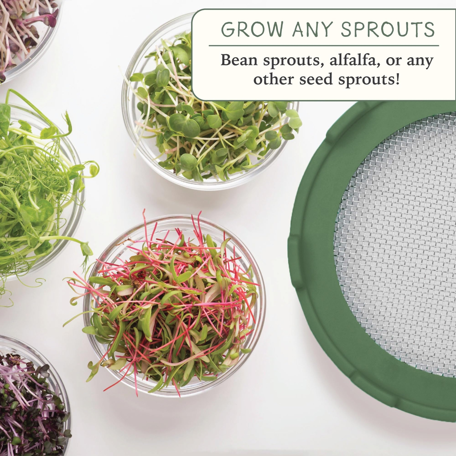 Sprouting Lids For Wide Mouth Mason Jars set Of 2 Sprouts Growing Kit ...