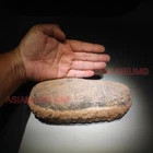 OVIRAPTOR RAPTOR Velociraptor Dinosaur Egg Fossil Theropod JURASSIC PARK WORLD w