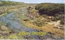 Photo 6x4 Salt Marsh Channel by Gore Saltings. Osea Island This is an ho c2006