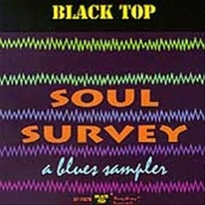 VARIOUS ARTISTS SOUL SURVEY: A BLUES SAMPLER NEW CD