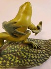 Picture 5 of 20