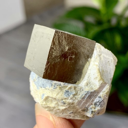 47G Natural Raw Atone Spanish Pyrete Cubic crystal quartz mineral sample - Picture 11 of 24