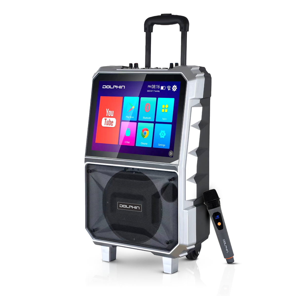 Dolphin Karaoke Machine w/ 14
