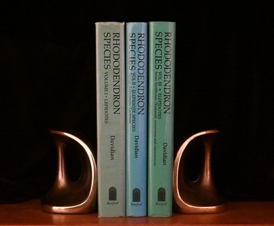 The Rhododendron Species: Three Volumes by H.H. Davidson | eBay
