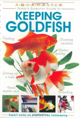 Goldfish (Aquamaster) By Bernice Brewster
