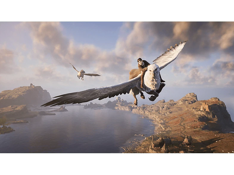 PS4  Hogwarts Legacy Deluxe Edition (DESPRECINTADO) - Imagen 3 de 4