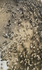 CROWD SCENE FROM ABOVER 1930 SPIRE TOWER PRIVATE PHOTOGRAPH 8/6 CM