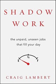 Shadow Work: The Unpaid, Unseen Jobs That Fill Your ... | Buch | Zustand wie neu