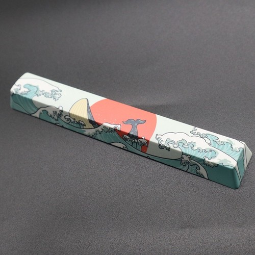2 Keys OEM Profile Keycaps PBT Dye Sub Keycap for SPACE ESC Mechanical Keyboard - Zdjęcie 4 z 8