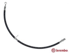 Flexible de frein Subaru B9 TRIBECA