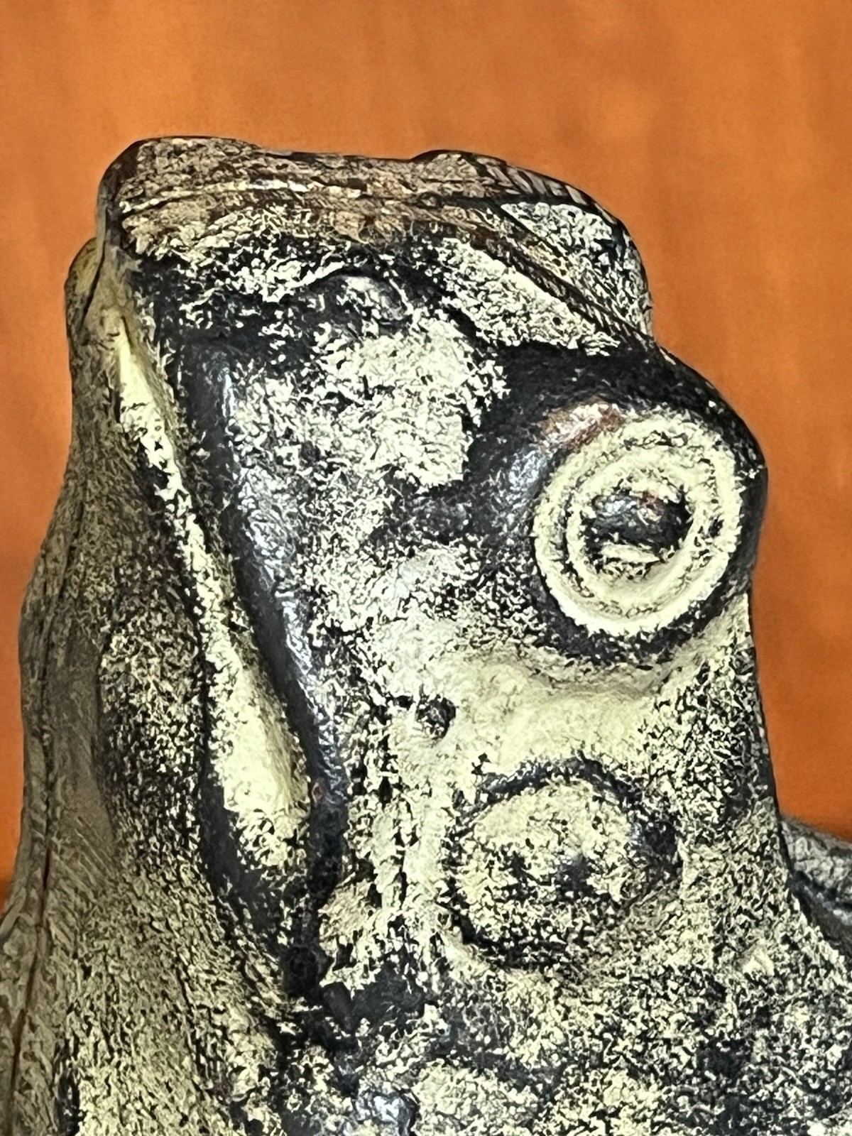 Picture 7 of 23