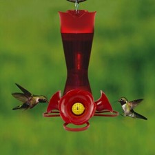 Bringing Nature to You Hummingbird Feeder Capacity: 8 oz