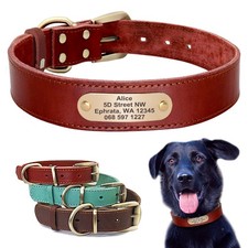 Genuine Leather Personalized Dog Collars with Custom Engraved Nameplate ID Tag