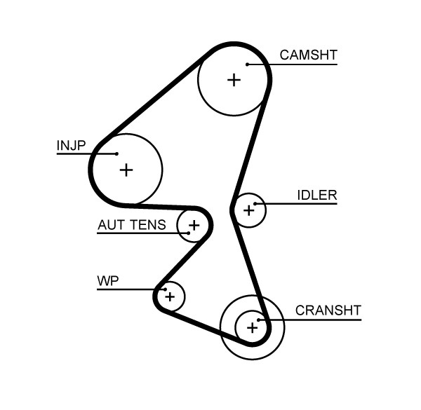 GATES-OE 5657XS Timing Belt for CITROËN,DS,FORD,PEUGEOT