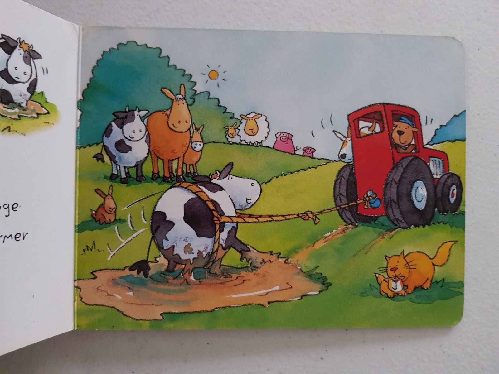 Bild 12 von 12