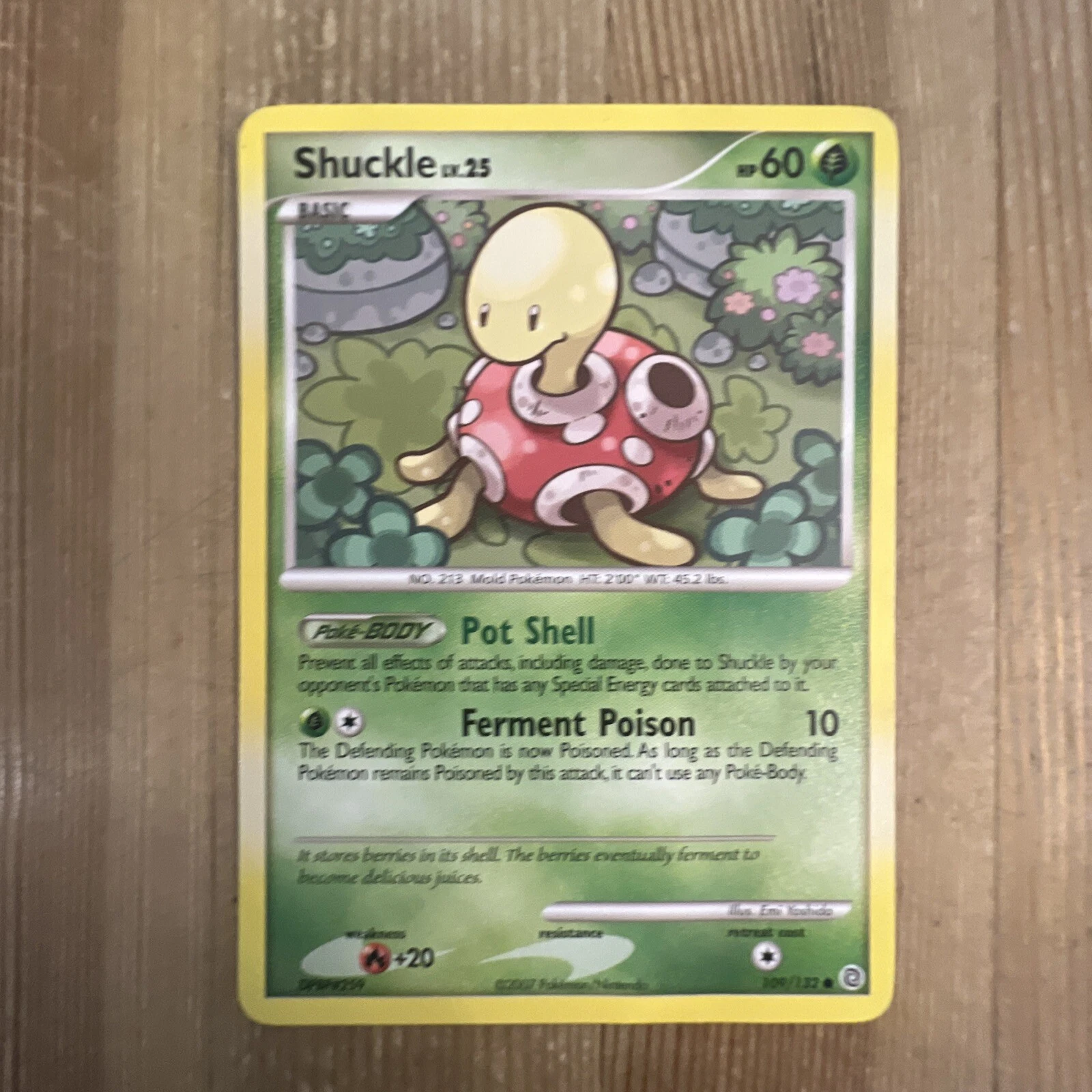 Pokémon TCG Shuckle Secret Wonders 109/132 Regular Common LP