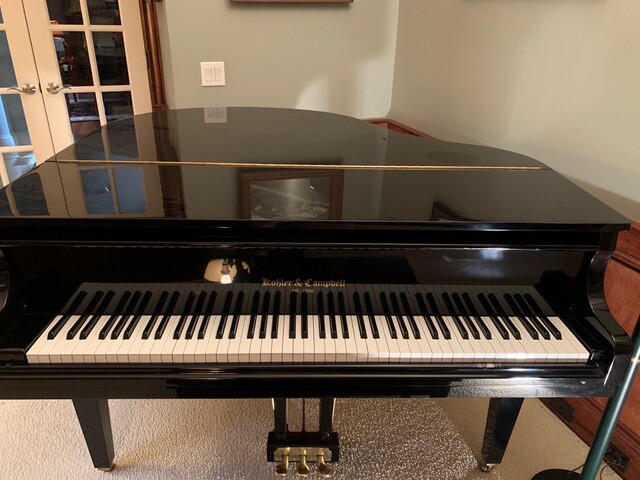 ebay baby grand piano